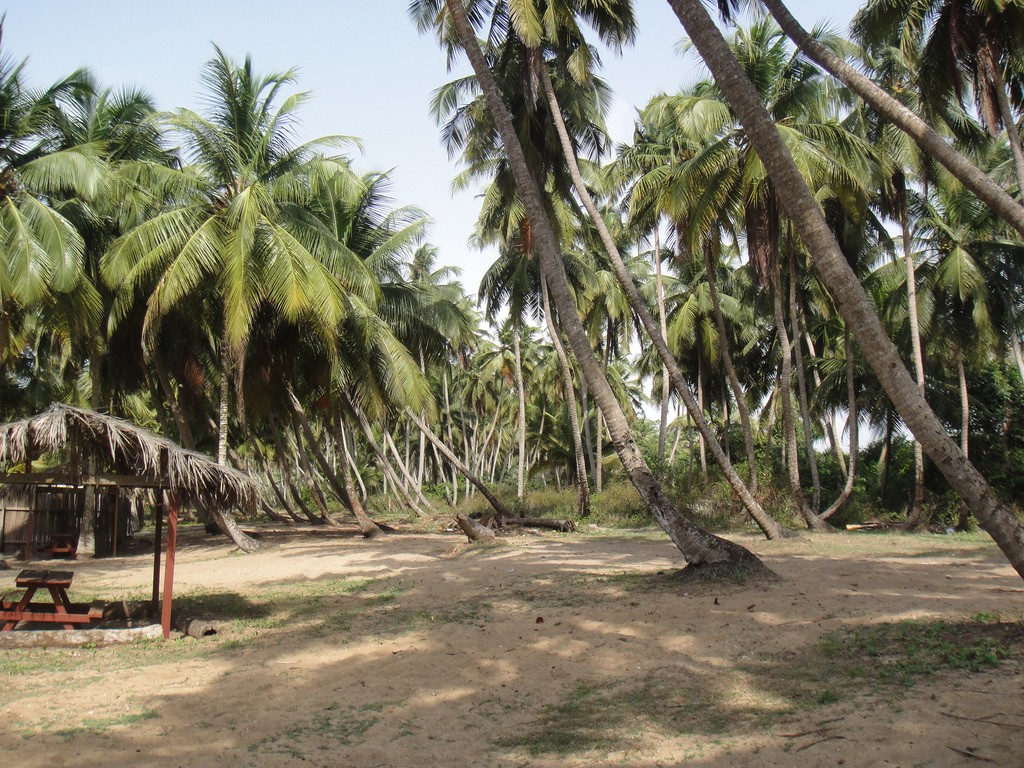 ElekoBeach_Lagos_Nigeria_5501501209