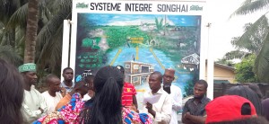 Songhai
